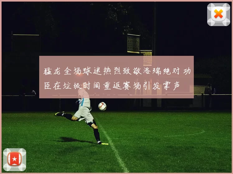 猛龙全场球迷热烈致敬洛瑞绝对功臣在垃圾时间重返赛场引发掌声